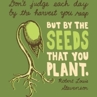 judge-each-day-by-seeds-u-plant